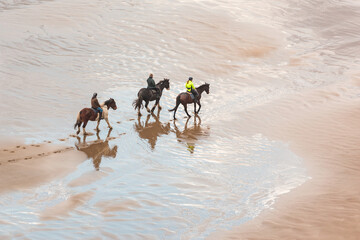 People horse riding on the beach, aerial view
