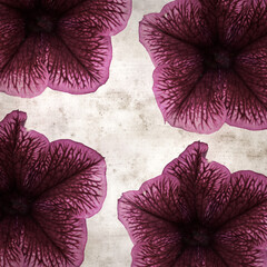 square stylish old textured paper background with mottled dark purple and cream petunia flower 
