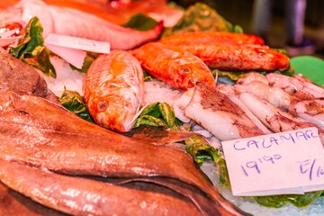 Variety of fresh produce, fish and squid at a market in Santiago de Compostela, Galicia, (Spain), selective approach. 