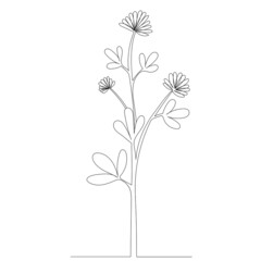 flower, plant one line drawing ,vector, isolated
