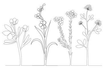 flowers, plants one line drawing ,vector, isolated