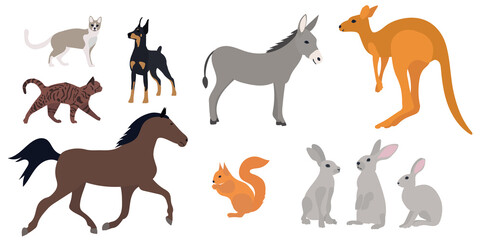animals set flat design on white background isolated, vector