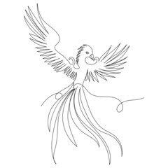phoenix bird one line drawing ,vector