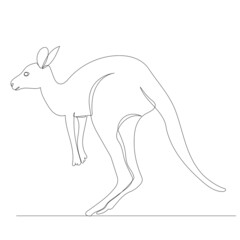 kangaroo one line drawing ,vector, isolated