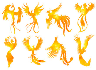 set of bird phoenix watercolor silhouette ,on white background, vector