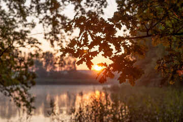 Sunrise at the lake. Sun shines through the trees