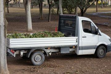 Branches in the pick up to be transported to the deposit of branches