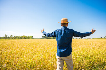 A young farmer turned around and looking in the distance with hands wide open at his rice field.