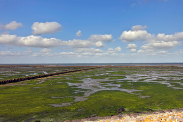 Lahnungsfelder auf der Nordseeinsel Föhr