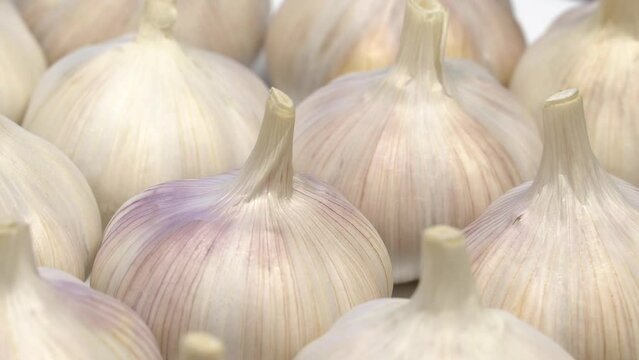 Fresh garlic bulbs rotation background. Loop motion