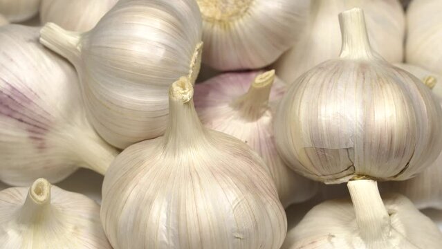 Fresh garlic bulbs rotation background. Loop motion