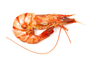 shrimps on a white background