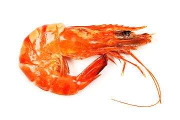 shrimps on a white background