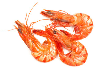 shrimps on a white background