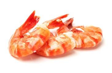 shrimps on a white background