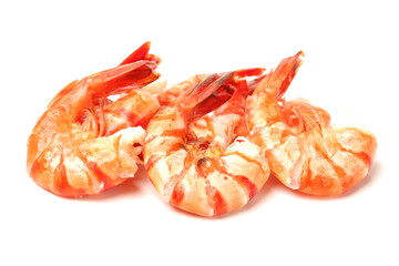 shrimps on a white background