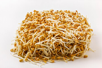 image with wheat germ on white background