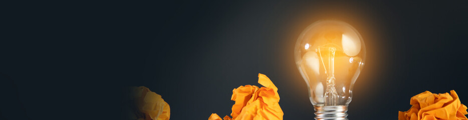 crumpled paper and light bulb