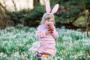 Little girl with Easter bunny ears making egg hunt in spring forest on sunny day, outdoors. Cute happy child with lots of snowdrop flowers, eating huge chocolate egg and colored eggs.