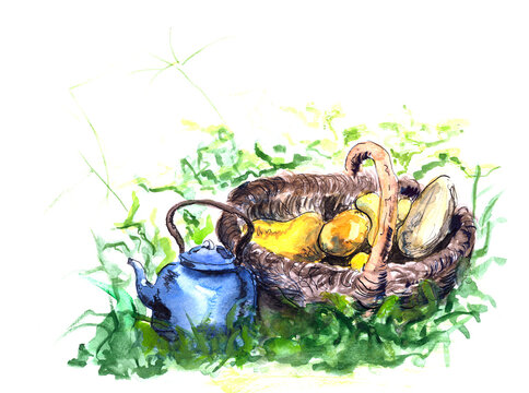 Watercolor and ink sketch painting of the blue teapot, the basket of potatoes.