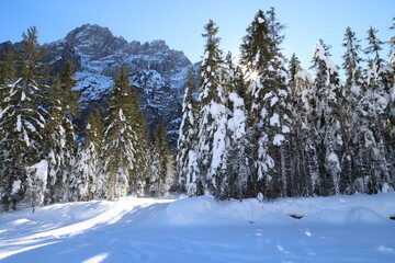 Winter landscape in Val Saisera, Italy
