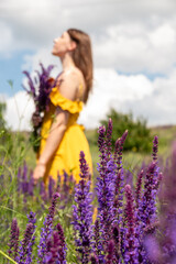 In the foreground is sage blossom, in blurry background is girl in an orange dress with bouquet of sage. Enjoying nature. Screensaver for the phone. Selective focus.