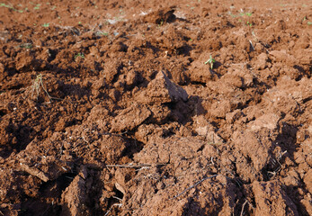 macro di zolle di terra rossa