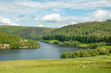 Summertime scenery around the Elan valley, near Rhayader,  Powys, Wales, UK.