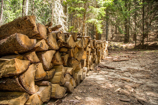 Winter preparation. Stacking Firewood. Pile of firewood loggs in Bulgaria. Firewood background.