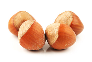 hazelnuts isolated on white background