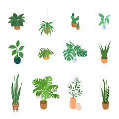 Set of isometric potted plant. Vector collection. Illustration in flat design.
