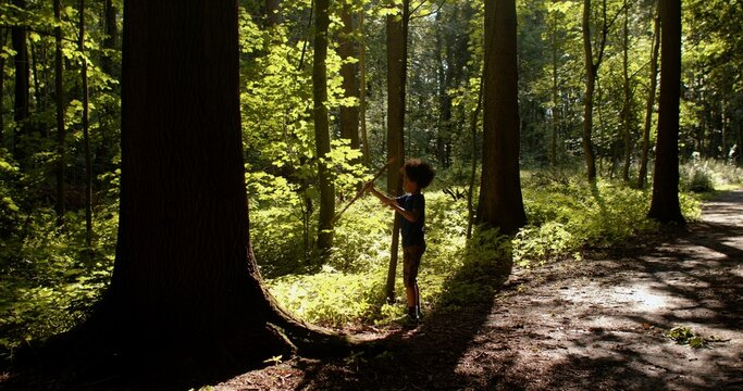 The child plays with stick in the forest. The rays of the bright summer sun shine. Playing alone, an independent play activity is important time for kid to explore and learn more about themselves.