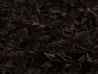 冬の公園の落ち葉