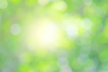 Fototapeta na wymiar Nature bokeh blur green leaf and light abstract background with sunlight and green tree, spring or summer background