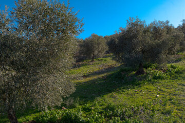 crop growing area landscape