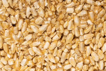 kozinak close-up. sunflower seeds in sweet syrup