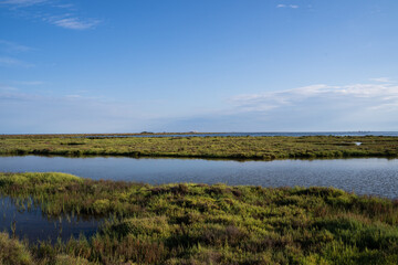 Pools of a lake with calm water in a sunny day