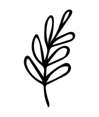 Hand drawn outline leaf, black botanical illustration isolated on white background. Doodle drawing