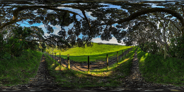 Track along the Cliffs - Whiritoa - Coromandel Peninsula - Waikato - New Zealand