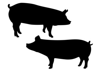 Pigs in a set. Vector image.