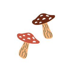 mushrooms, cooking ingredient, organic food, flat design