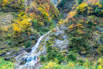 黒部峡谷と紅葉と滝