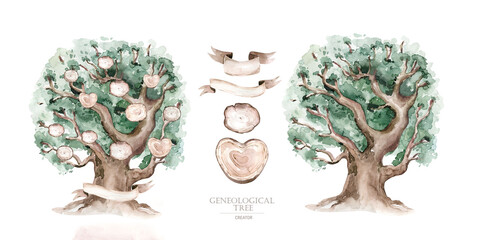 Watercolor Genealogical Family tree. Watercolor children's tree botanical season isolated illustration. olive, oak and cypress. Green forest ecology branch and leaves.