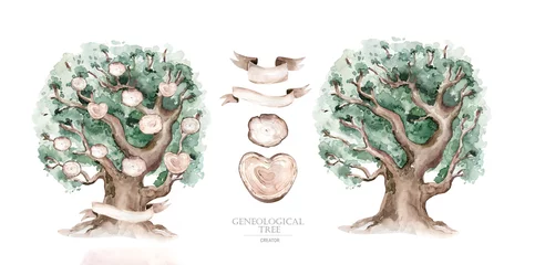 Fotobehang Watercolor Genealogical Family tree. Watercolor children's tree botanical season isolated illustration. olive, oak and cypress. Green forest ecology branch and leaves. © kris_art