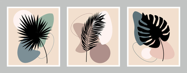 Obraz na płótnie Canvas A set of vector drawings on the walls of palm leaves. Design of tropical plants for printing, cover, wallpaper. Flat design in boho style.