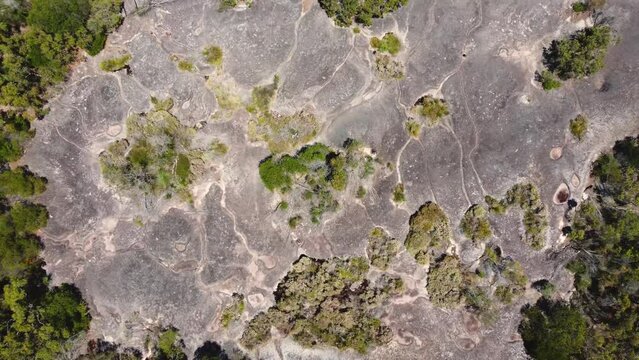 Bird's eye aerial drone view of Elephant Rock in Bushland Patonga Beach rock formation tourism Central Coast NSW Australia 4K