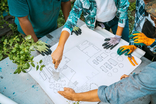 High angle view of male and female farmers examining blueprint in farm