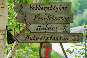 Dog poo bag hanging on the tree close to hiking trial sign.