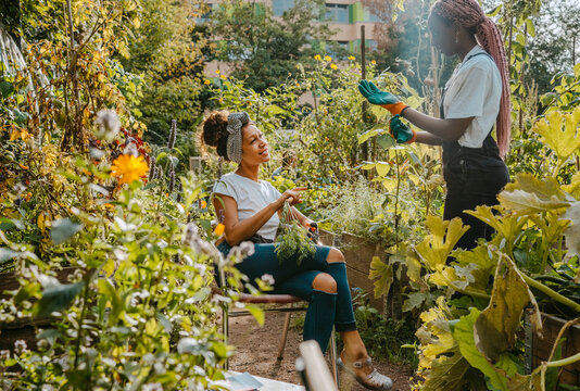 Female farmers talking while working in community garden