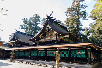 Fototapeta premium 香取神宮、本殿と拝殿と囲う漆塗りの黒と緑の瑞垣